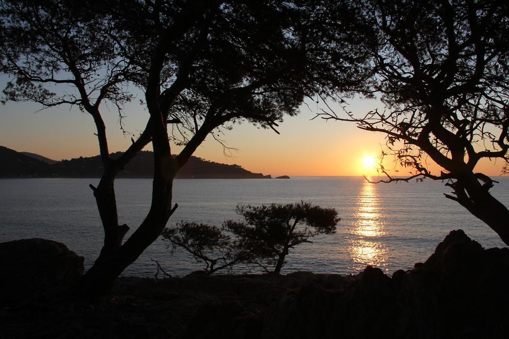 Auberge Du Cap Negre 르 라방두 외부 사진