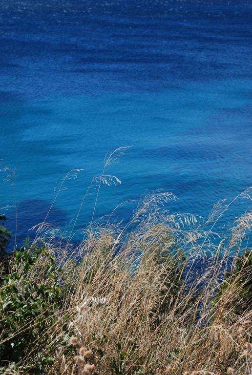 Auberge Du Cap Negre 르 라방두 외부 사진